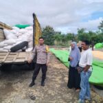 BHABINKAMTIBMAS DESA O’O POLSEK DOMPU PANTAU HASIL PANEN JAGUNG WARGA UNTUK DUKUNG PROGRAM KETAHANAN PANGAN