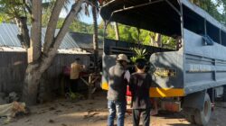 Satsamapta Polres Bima Kabupaten Bantu Mahasiswa IMM Antar Bibit Pohon