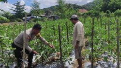 Bhabinkamtibmas Desa Manemeng Dorong Ketahanan Pangan Warga Lewat Pekarangan Bergizi