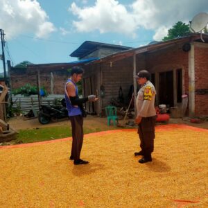 Bhabinkamtibmas Desa Jala Pantau Penjemuran Jagung Warga Dukung Ketahanan Pangan Nasional