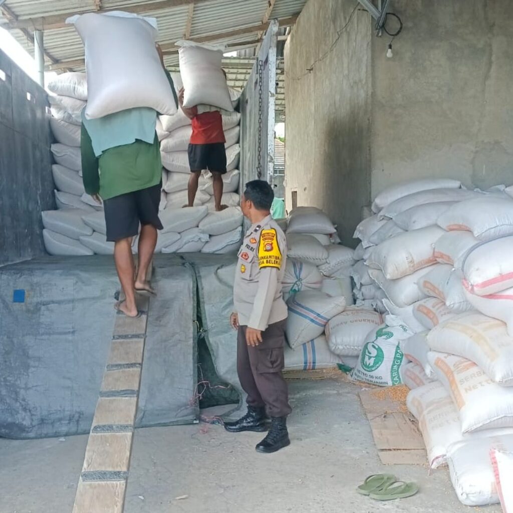 Polsek Gerung dan Mitra Pastikan Pasokan Jagung Aman untuk Ketahanan Pangan