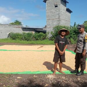 BHABINKAMTIBMAS POLSEK PEKAT DORONG PETANI SALURKAN HASIL PANEN KE GUDANG BULOG