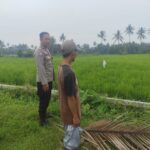 Bhabinkamtibmas Desa Bagik Nyaka Santri Monitoring Tanaman Jagung Warga untuk Dukung Ketahanan Pangan
