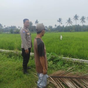 Bhabinkamtibmas Desa Bagik Nyaka Santri Monitoring Tanaman Jagung Warga untuk Dukung Ketahanan Pangan