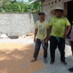 Bhabinkamtibmas Kuranji Dampingi Petani Jagung Raih Swasembada