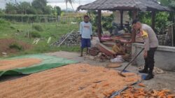 Upaya Ketahanan Pangan Lewat Sambang Produktif di Labuapi