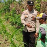 Cara Cerdas Bhabinkamtibmas Labuapi Ajak Warga Sulap Lahan Kosong Demi Ketahanan Pangan Nasional