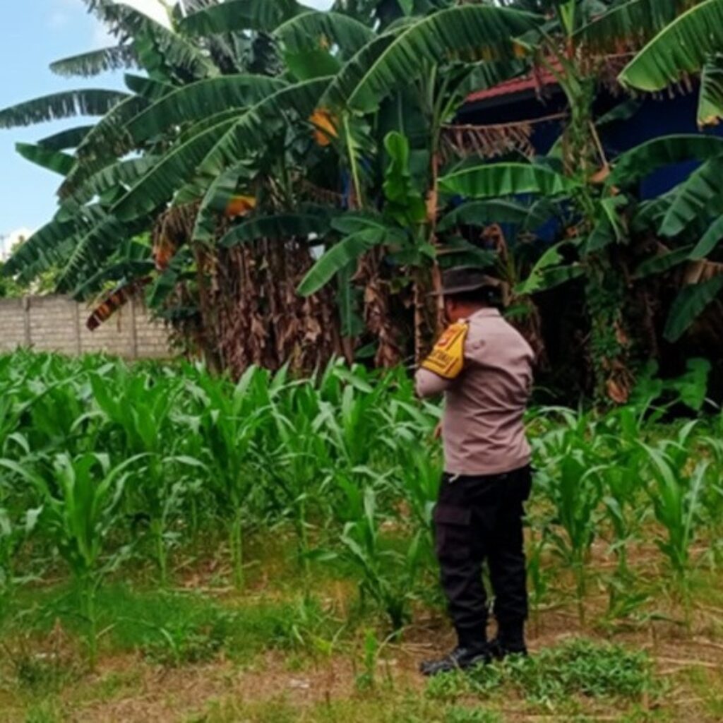 Polsek Labuapi Dorong Warga Manfaatkan Pekarangan untuk Ketahanan Pangan