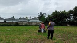 Ketahanan Pangan di Karang Bongkot Memanfaatkan Pekarangan