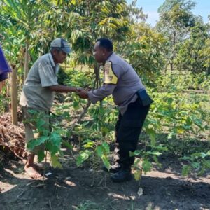 Bhabinkamtibmas Lombok Barat Dampingi Petani Hortikultura Sukseskan Ketahanan Pangan