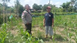 Bukan Patroli Biasa, Ini Langkah Nyata Polres Lombok Barat Jaga Ketahanan Pangan