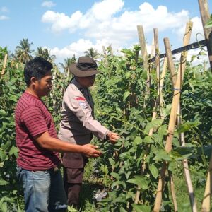 Dukung Ketahanan Pangan, Bhabinkamtibmas Desa Bagu Dorong Warga Manfaatkan Pekarangan Produktif