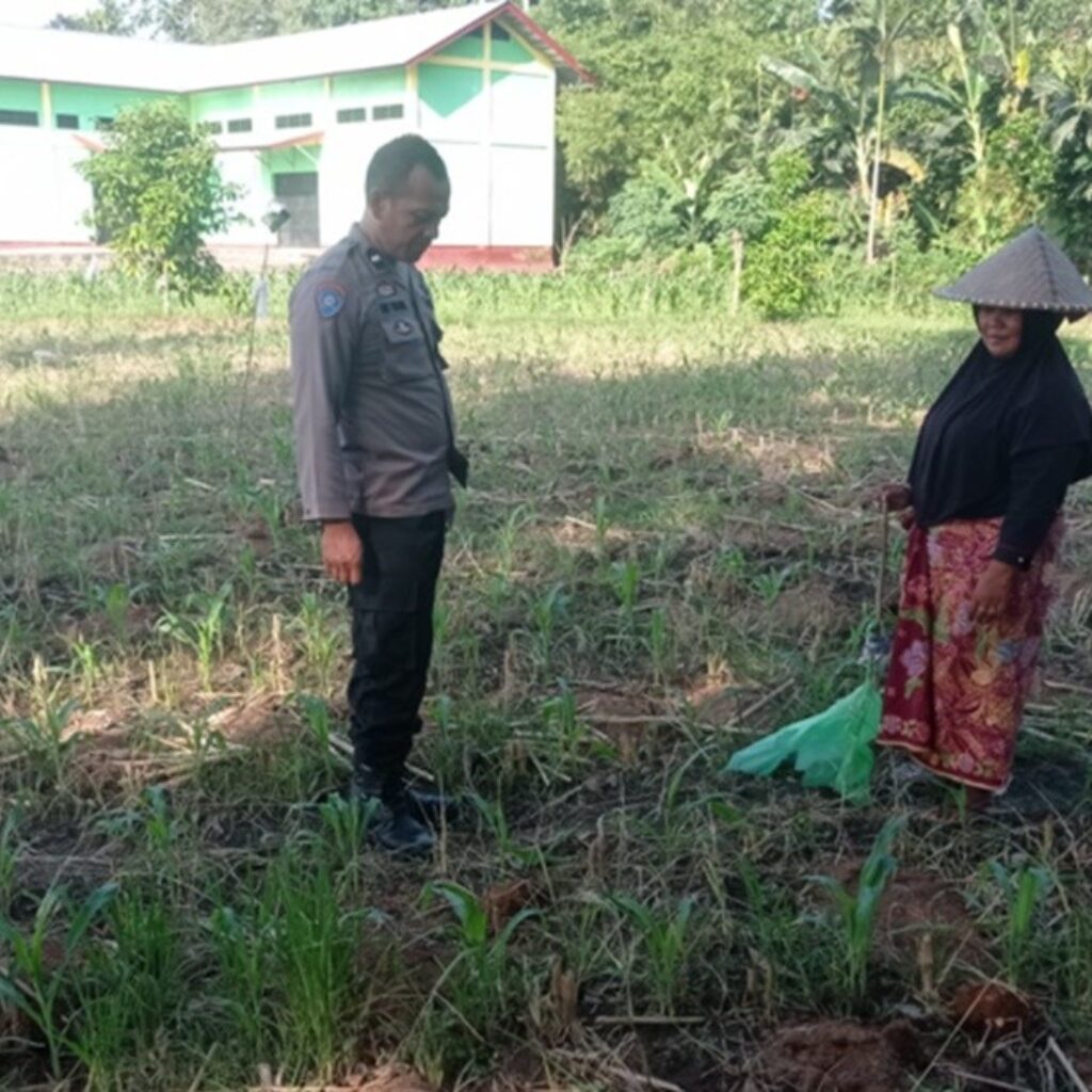 Polres Lombok Barat Kawal Program Swasembada Pangan di Desa Kuranji