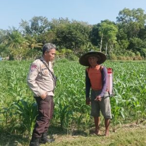 Swasembada Pangan Nasional: Polsek Batulayar Edukasi Warga