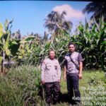 Bhabinkamtibmas Desa Suela Cek Lahan Ketahanan Pangan Bergizi, Dukung Produktivitas Pertanian Warga