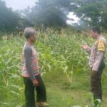 Polsek Labuapi Dukung Ketahanan Pangan di Desa Bagik Polak