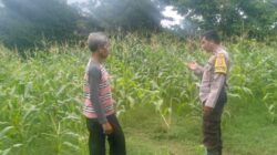 Sinergi Polisi dan Petani Jaga Ketahanan Pangan di Labuapi