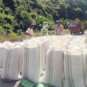 BHABINKAMTIBMAS DESA SANEO MONITORING HASIL PANEN JAGUNG WARGA DI DESA BINAAN