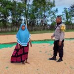 BHABINKAMTIBMAS DESA SAWE PANTAU HASIL PANEN JAGUNG WARGA, DUKUNG PROGRAM KETAHANAN PANGAN NASIONAL
