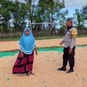 BHABINKAMTIBMAS DESA SAWE PANTAU HASIL PANEN JAGUNG WARGA, DUKUNG PROGRAM KETAHANAN PANGAN NASIONAL