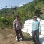 BHABINKAMTIBMAS POLSEK WOJA PANTAU PANEN JAGUNG WARGA, DUKUNG KETAHANAN PANGAN NASIONAL