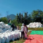 BHABINKAMTIBMAS DESA WOKO PANTAU PROSES PENGGILINGAN DAN PENJEMURAN JAGUNG