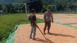 Jaga Kualitas Hasil Panen, Bhabinkamtibmas Rasabou Monitoring Proses Penjemuran Jagung