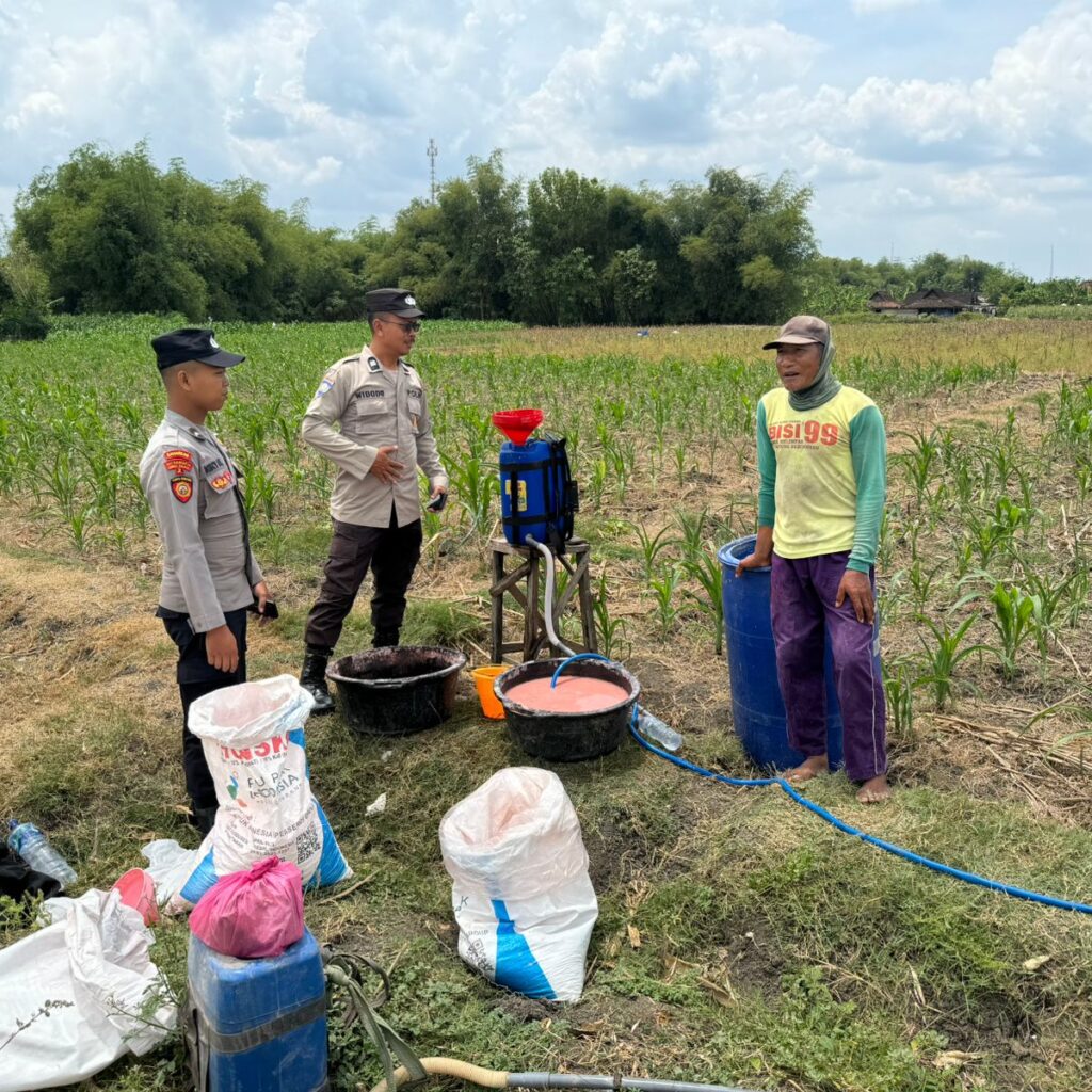 Anggota Unit Binmas Polsek Senori Polres Tuban Membantu Proses Pemupukan Tanaman Jagung Warga Desa Jatisari