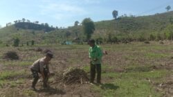 BHABINKAMTIBMAS DESA RABABAKA DORONG PETANI SIAP HADAPI MUSIM TANAM, DUKUNG KETAHANAN PANGAN DAERAH