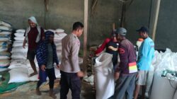 BHABINKAMTIBMAS DESA O’O PANTAU PENGEMASAN DAN PENIMBANGAN JAGUNG, DUKUNG KETAHANAN PANGAN MASYARAKAT
