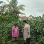 Polsek Grabagan polres Tuban Polda Jawa Timur Dukung Penuh Swasembada Pangan Presiden Prabowo Melalui Pendampingan Petani