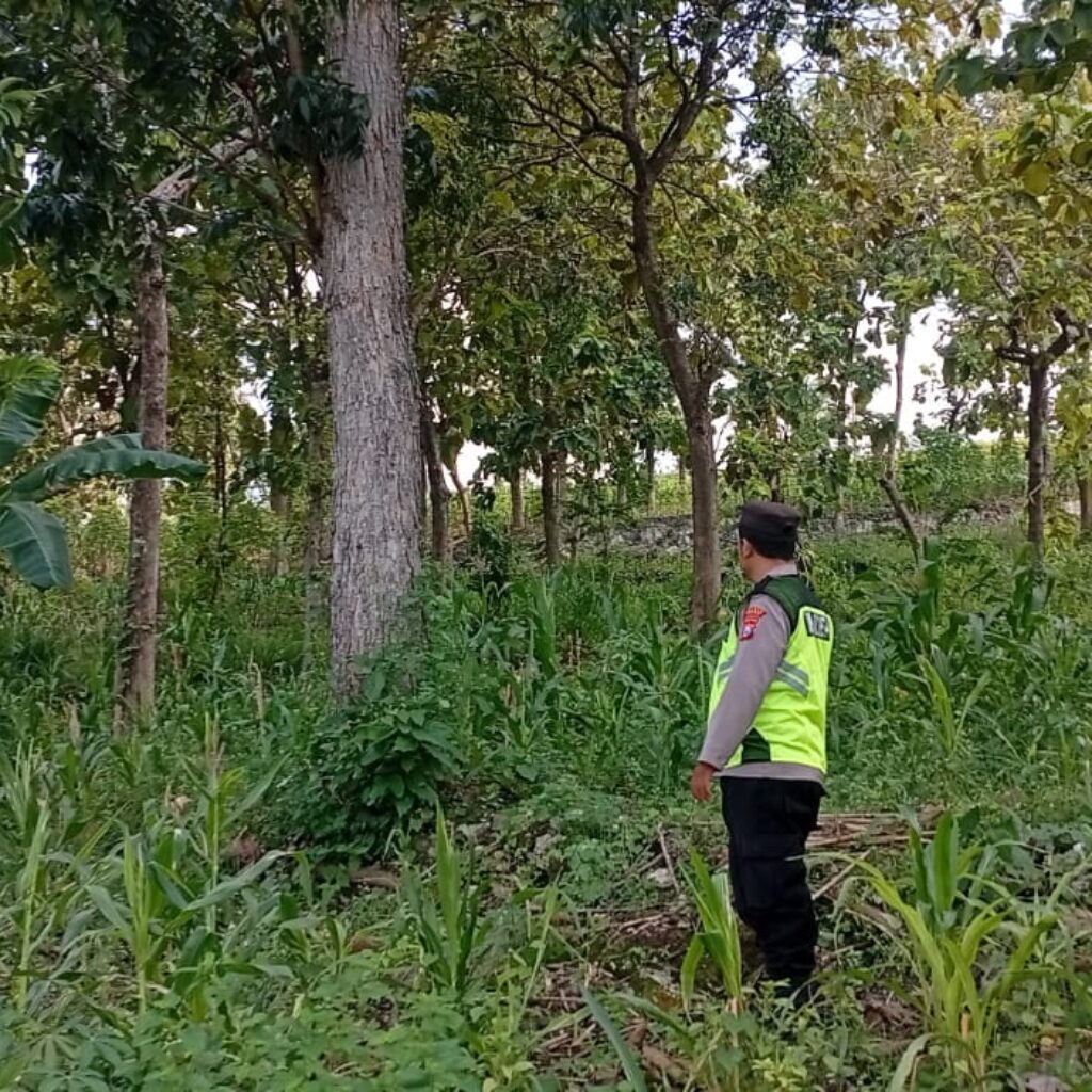 Polri Dukung Astacita, Polsek Rengel Polres Tuban Turun Cek Tanaman Jagung Warga di Desa Rengel