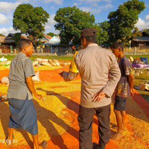 Pastikan Kualitas Hasil Panen, Bhabinkamtibmas Himbau Petani Penuhi Standar Bulog