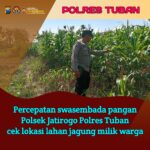 Dukung Astacita, Polsek Jatirogo Polres Tuban Pantau Langsung Lahan Jagung Warga Desa Sidomulyo