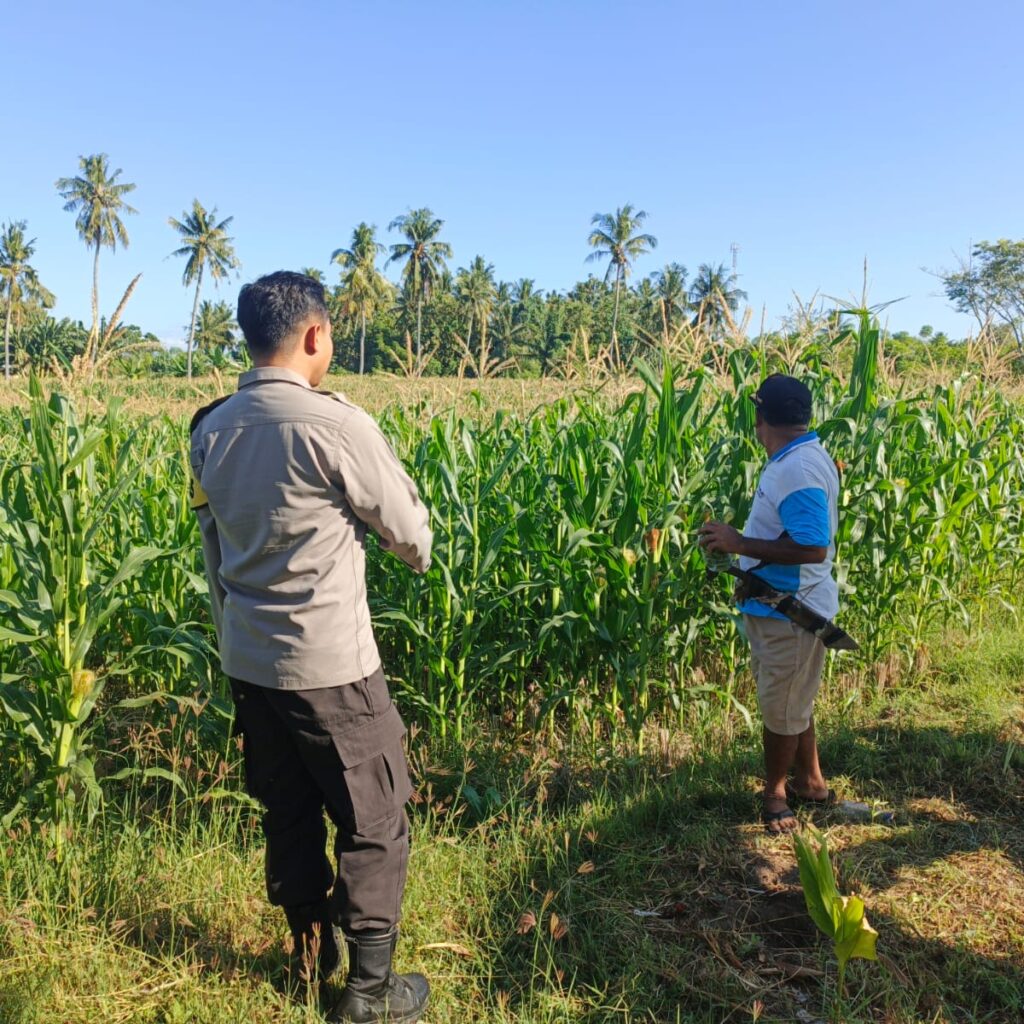 Bhabinkamtibmas Desa Lekong Ajak Warga Optimalkan Lahan dengan Tanaman Hortikultura
