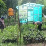 BHABINKAMTIBMAS POLSEK DOMPU DORONG WARGA KEMBANGKAN PEKARANGAN PANGAN LESTARI UNTUK PERKUAT KETAHANAN PANGAN DAN GIZI