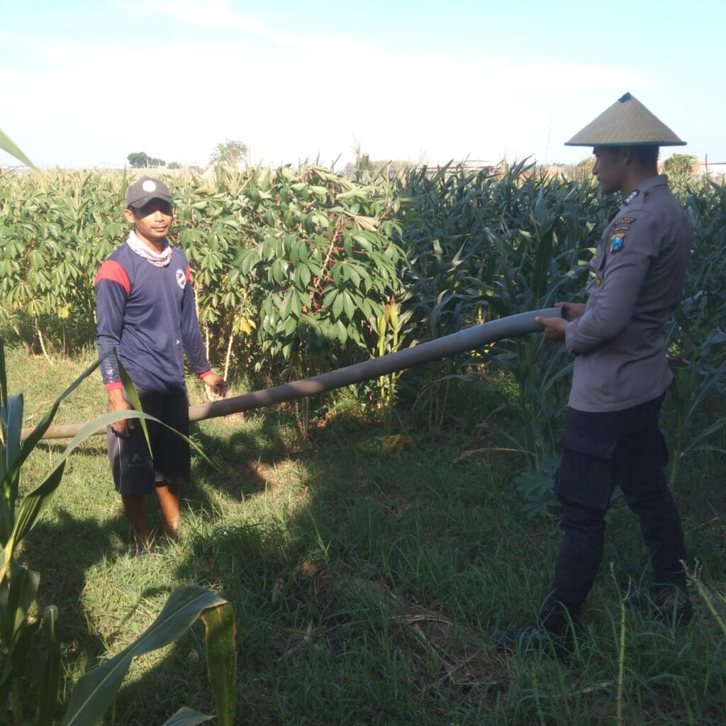 Anggota Bhabinkamtibmas Polsek Jenu Polres Tuban Turun ke Ladang, sambang lahan pertanian.