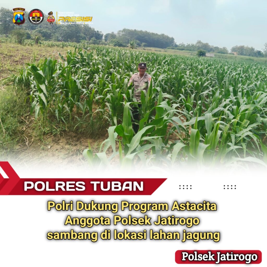 Turun ke Pematang, Polsek Jatirogo Kawal Jagung Warga Desa Ketodan Demi Astacita