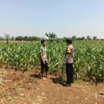 KDukung Program Asta Cita, Bhabinkamtibmas Sambang Ladang Jagung di Desa Binaan.
