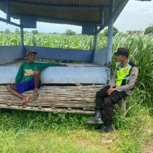 Polsek Montong Polres Tuban Turun Cek Tanaman jagung Warga di Desa Talun