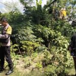 Bhabinkamtibmas Desa Kidang Dorong Warga Manfaatkan Pekarangan dan Jaga Kamtibmas