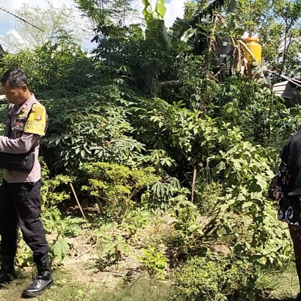 Konsep Otomatis