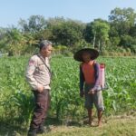 Polsek Batulayar Dorong Warga Sandik Manfaatkan Pekarangan Rumah