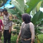 Polsek Lembar Perkuat Ketahanan Pangan di Labuan Tereng