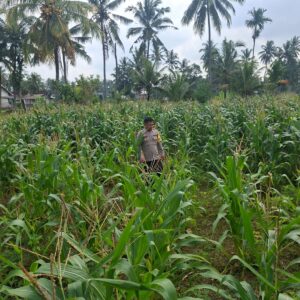 Bhabinkamtibmas Desa Danger Monitoring Ketahanan Pangan dan Ajak Warga Jaga Kamtibmas