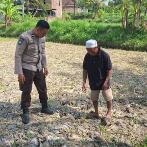 Bhabinkamtibmas Desa Sukadana Monitoring Lahan Jagung Milik Ketua Gapoktan Dile Semprong