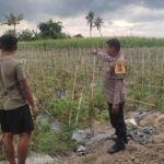 Bhabinkamtibmas Lombok Barat Dampingi Petani Dorong Ketahanan Pangan