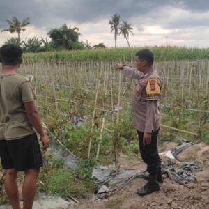 Bhabinkamtibmas Lombok Barat Dampingi Petani Dorong Ketahanan Pangan
