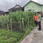 Bhabinkamtibmas Desa Paokmotong Monitoring Program Ketahanan Pangan, Dukung Swasembada Pangan Pemerintah