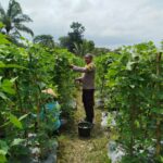 Bhabinkamtibmas Desa Lendang Nangka Utara Cek Lahan Pekarangan Pangan Bergizi
